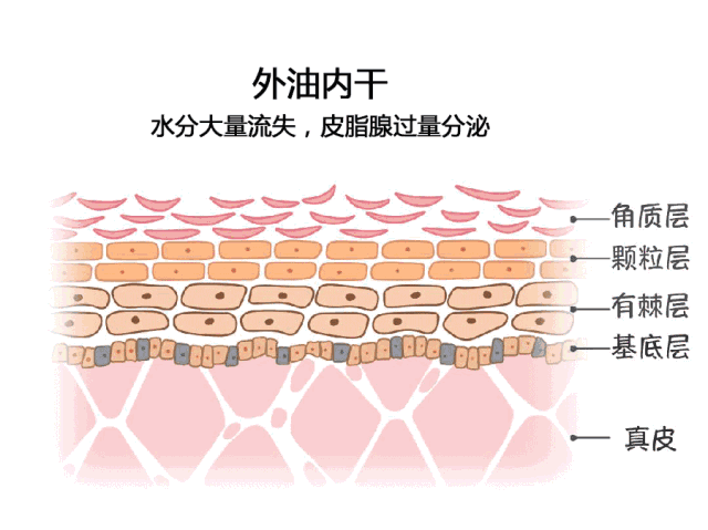 QQ图片20200316163947.gif